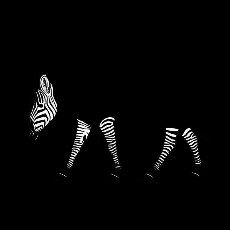 Zebweb brand mark — B · Walking